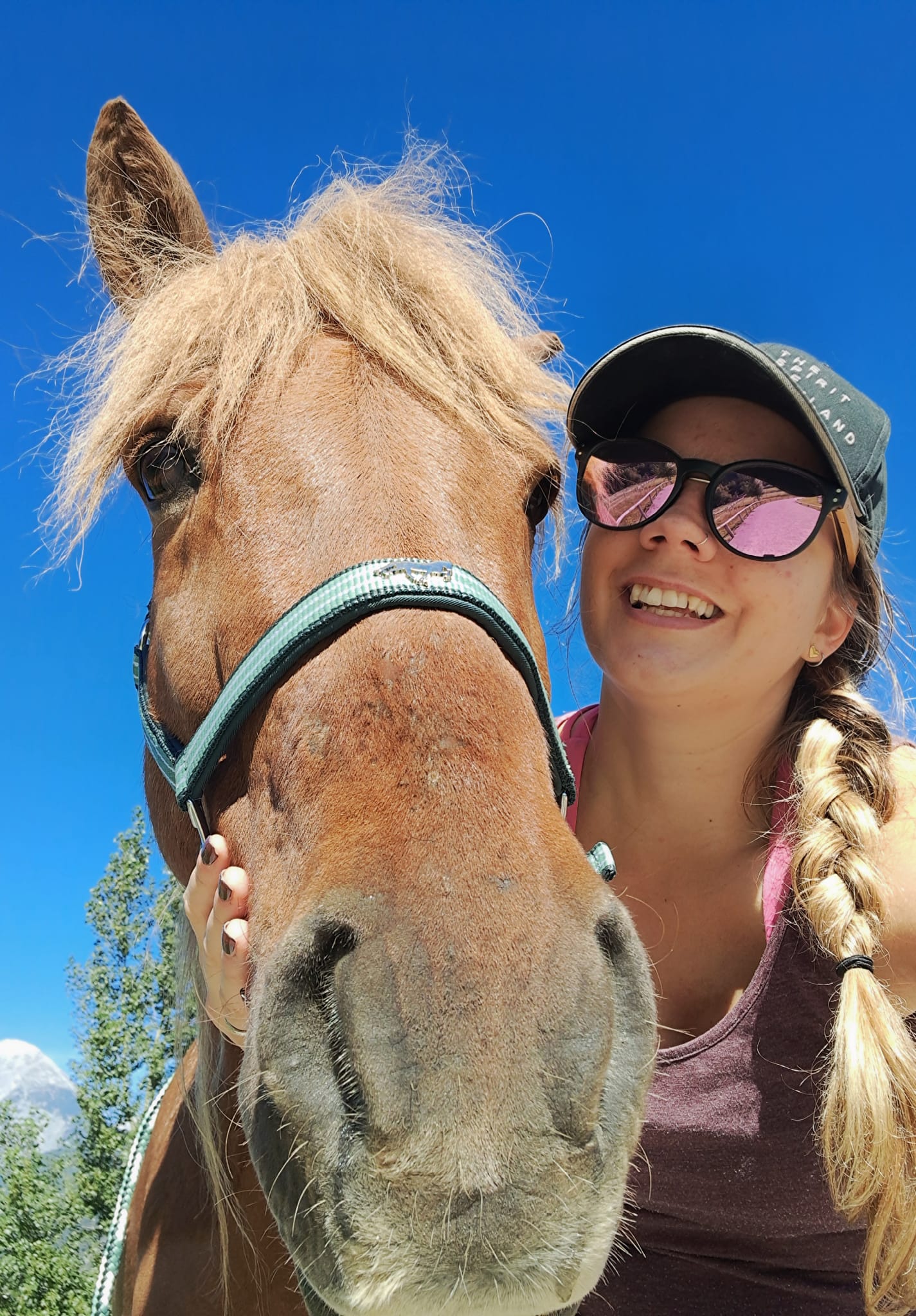 WhatsApp Bild 2025-11-28 um 09.25.31_1fd6a7ac